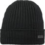 Wilbert Turnup beanie