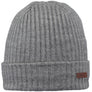 Wilbert Turnup beanie