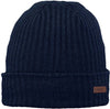 Wilbert Turnup beanie