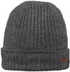 Wilbert Turnup beanie
