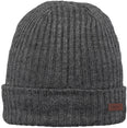 Wilbert Turnup beanie