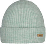 Witzia beanie