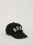 Borg Logo pet