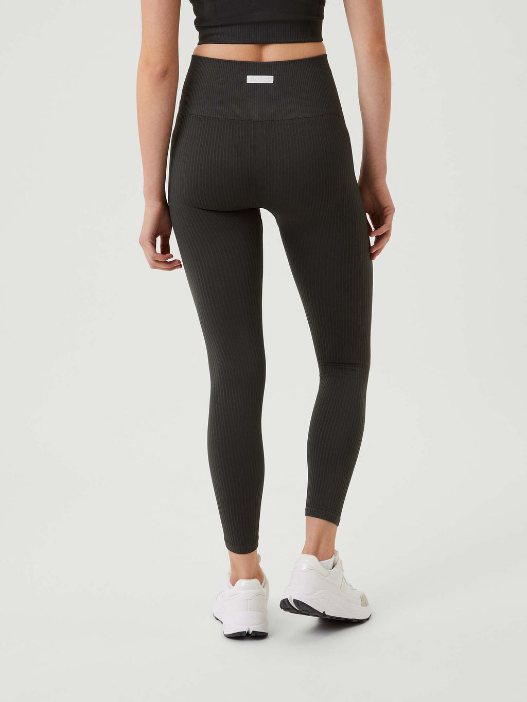Studio Seamless Rib legging