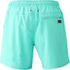 Iconic-n zwemshort