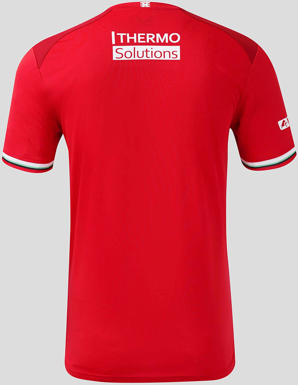 Fc Twente thuisshirt 24/25