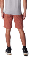 Silver Ridge Utility Cargo short