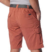 Silver Ridge Utility Cargo short