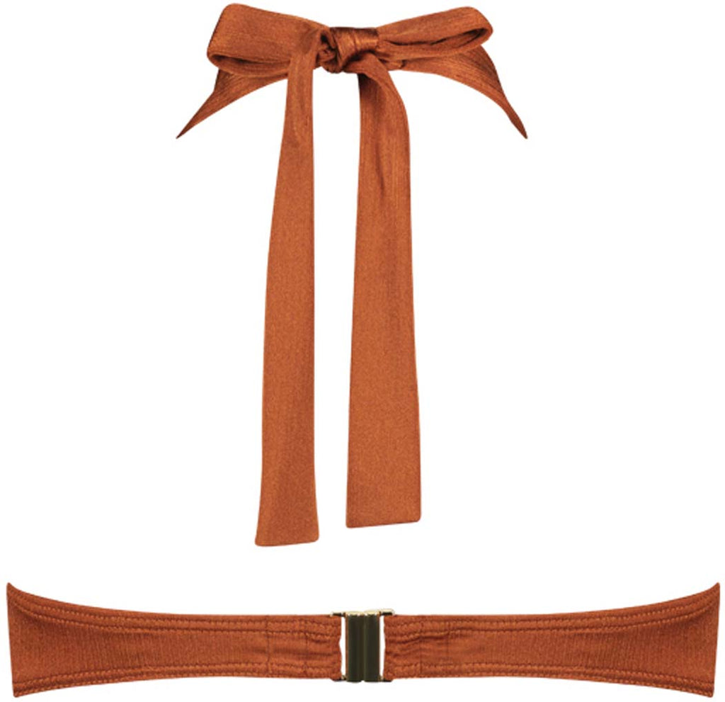Treasure Cedar Padded Wired bikinitop