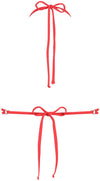 Treasure Teaberry Padded bikinitop