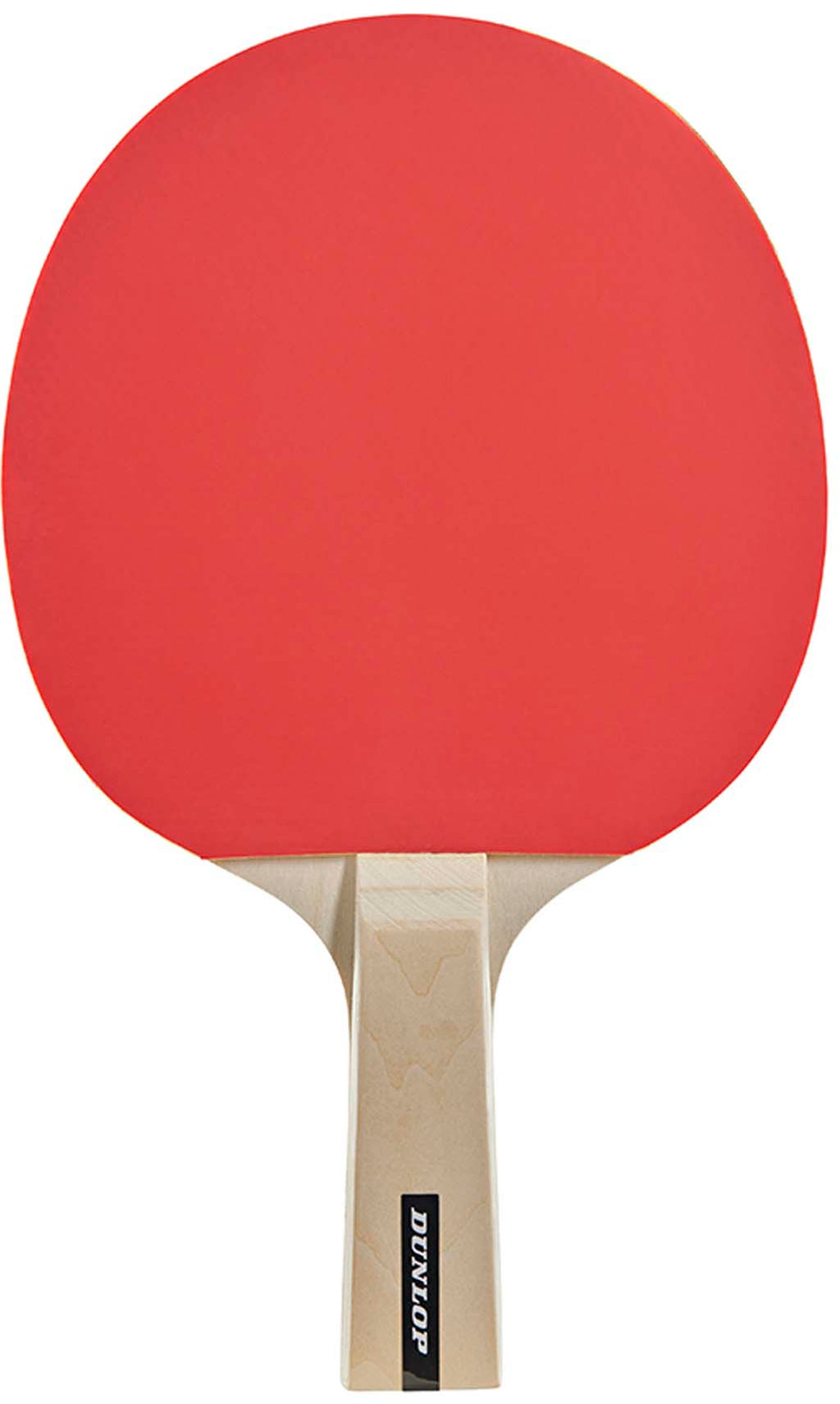 D Tt Match 2 Player tafeltennisset