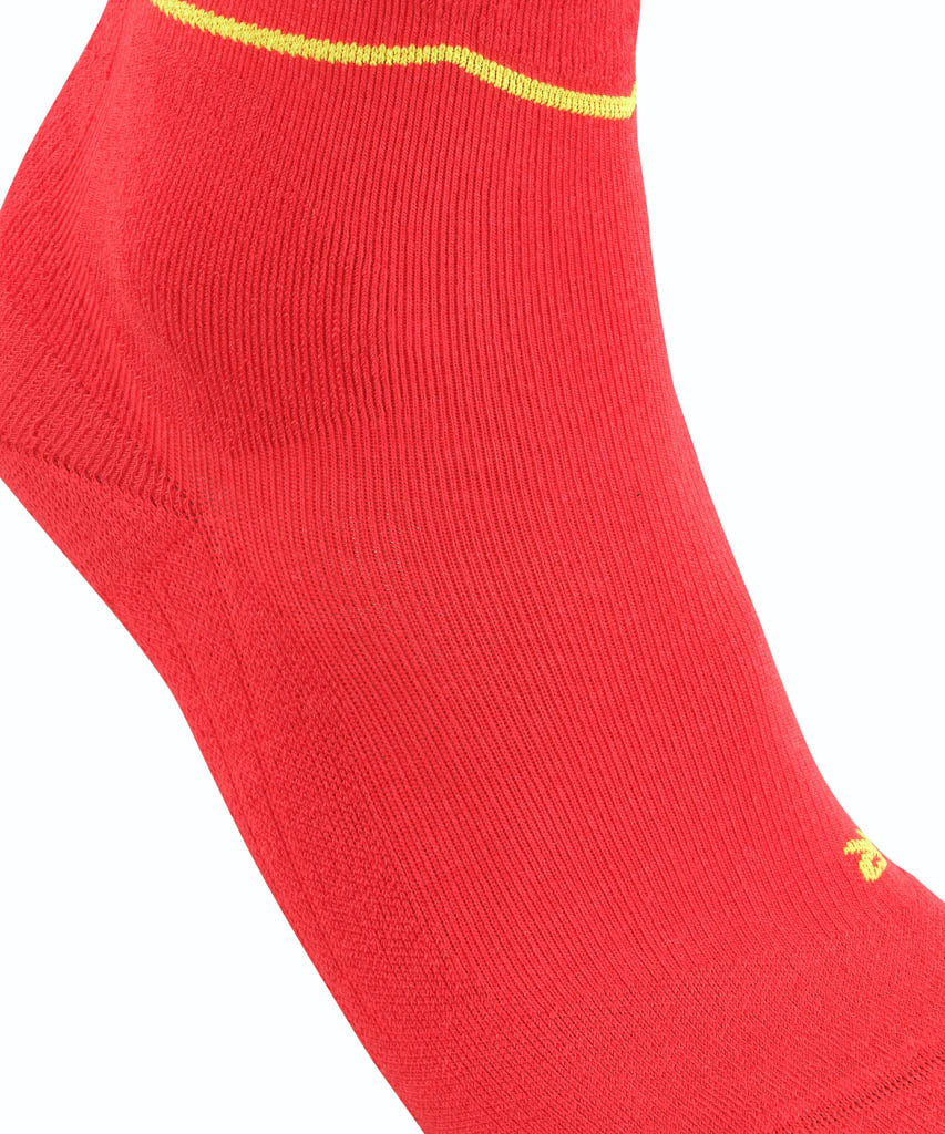 SK Energizing Wool sokken