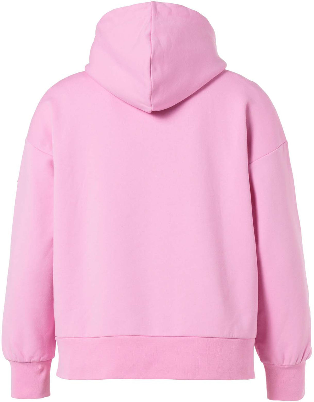 Harvard hoodie