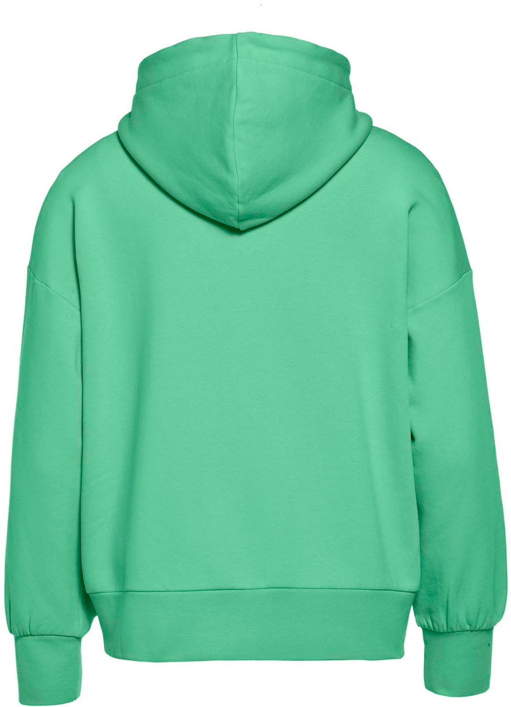 Harvard hoodie