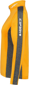 Fairview skipully