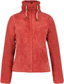 Colony vest