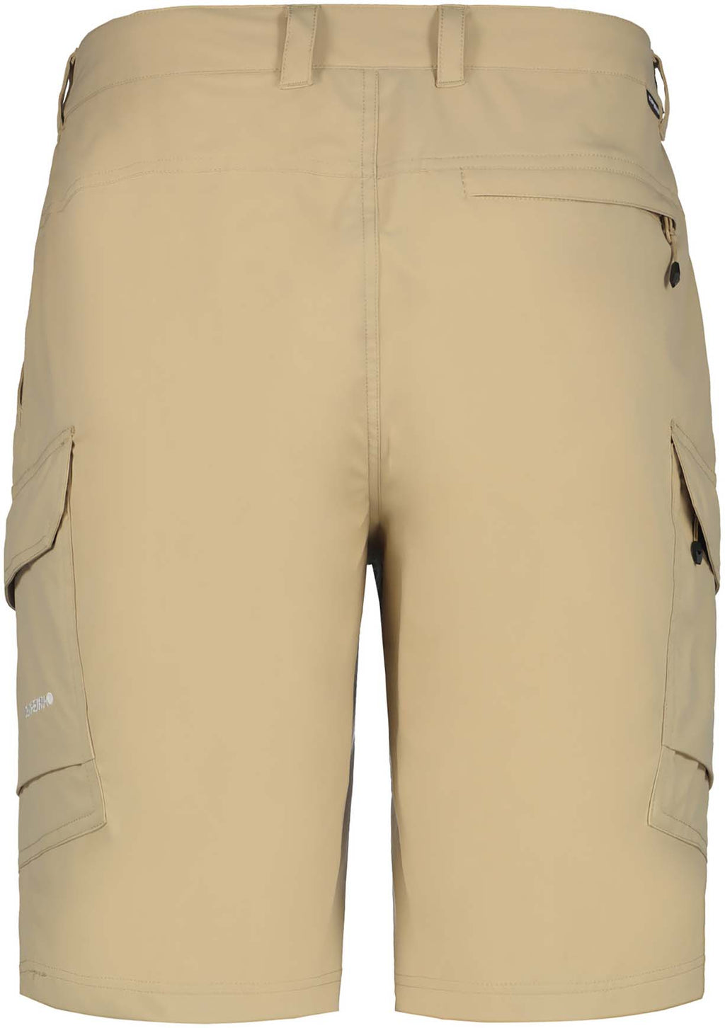 Braswell short