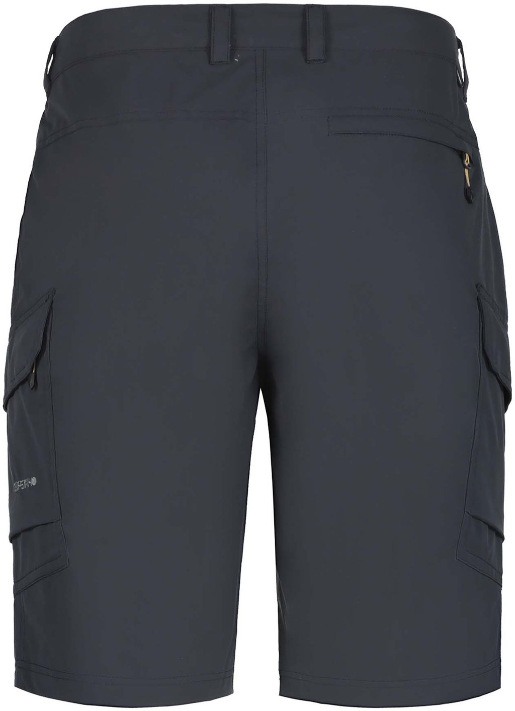 Braswell short