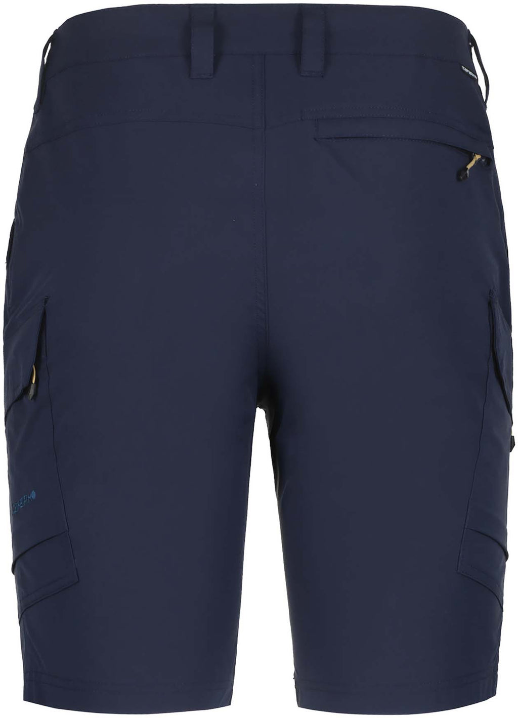 Braswell short