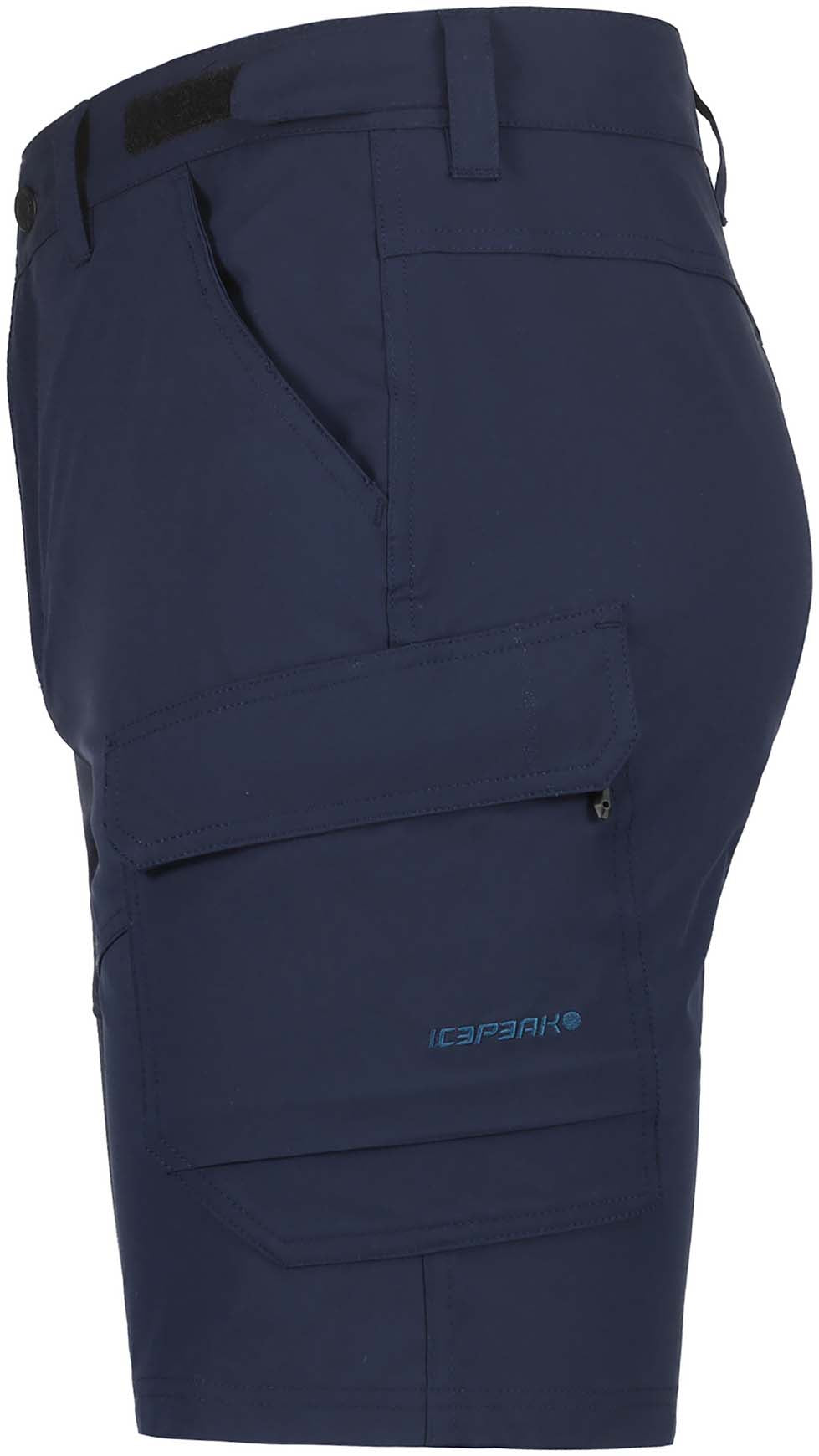 Braswell short