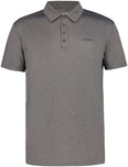 Bridgton polo