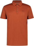 Bridgton polo