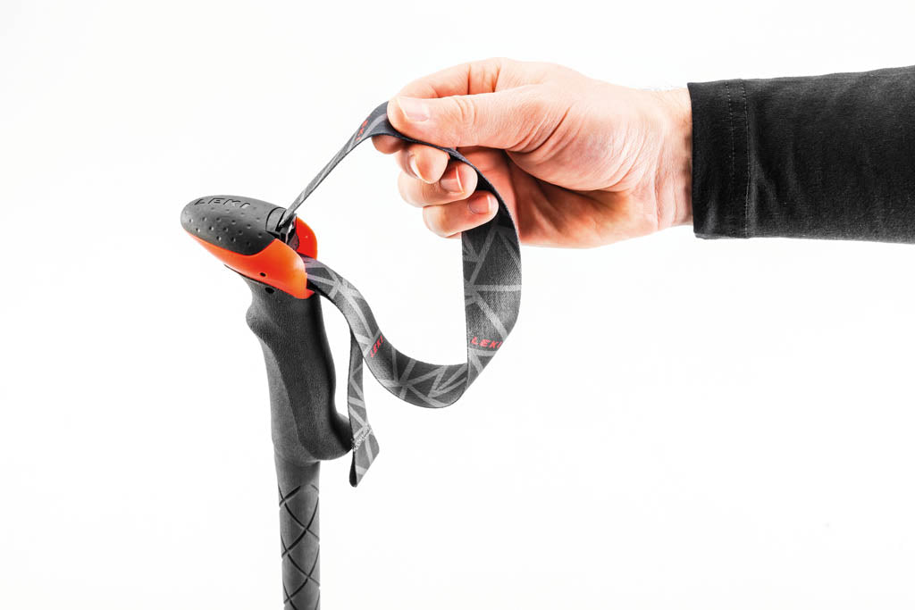 Micro Vario TA wandelstokken
