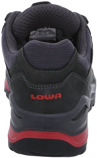 Renegade GTX Lo wandelschoenen