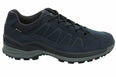 Toro Evo GTX Lo wandelschoenen