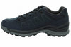 Toro Evo GTX Lo wandelschoenen