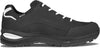 Renegade Evo GTX Low wandelschoenen