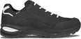 Renegade Evo GTX Low wandelschoenen