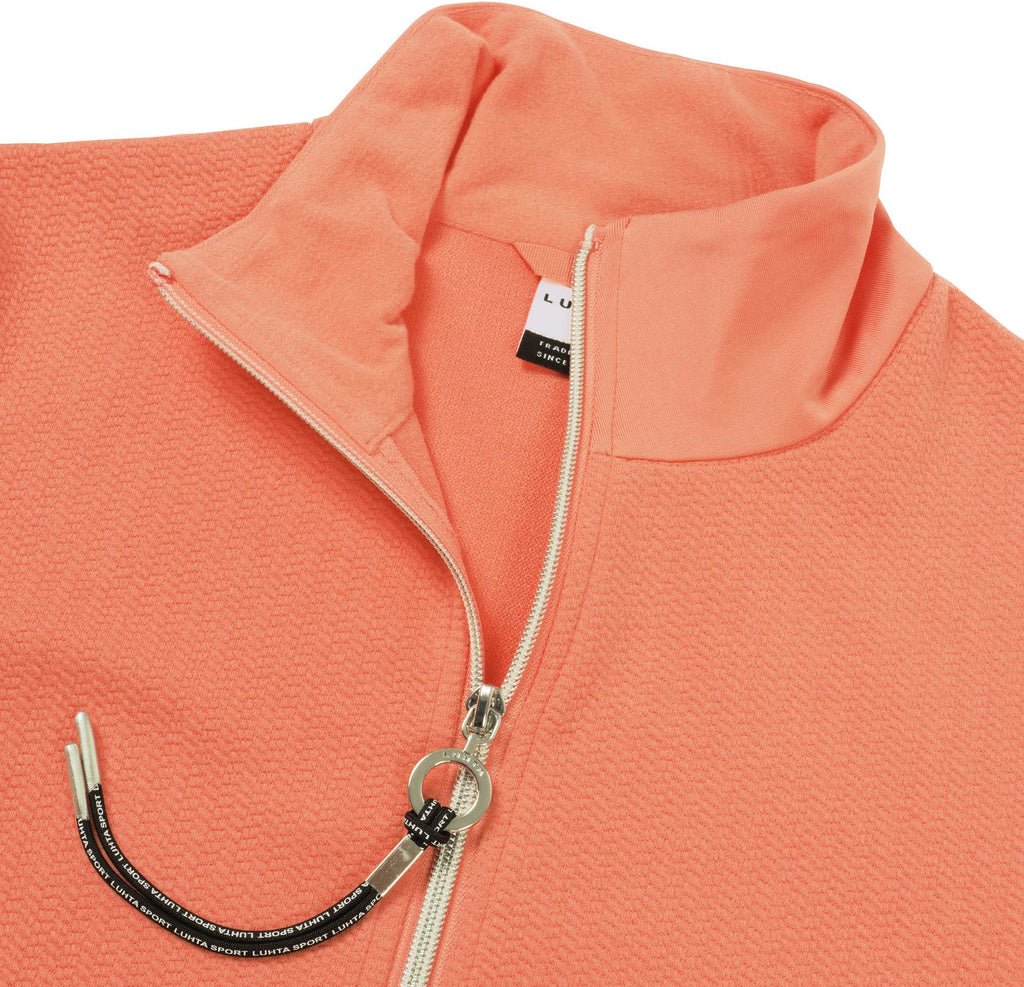 Ilvesoja vest