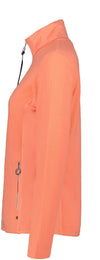 Ilvesoja vest