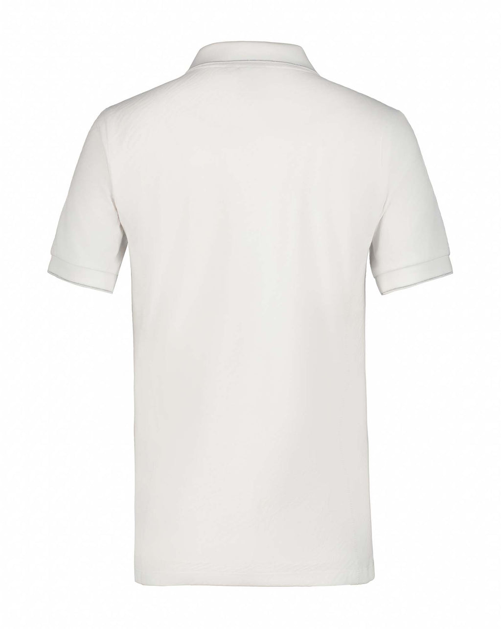 Iihola polo