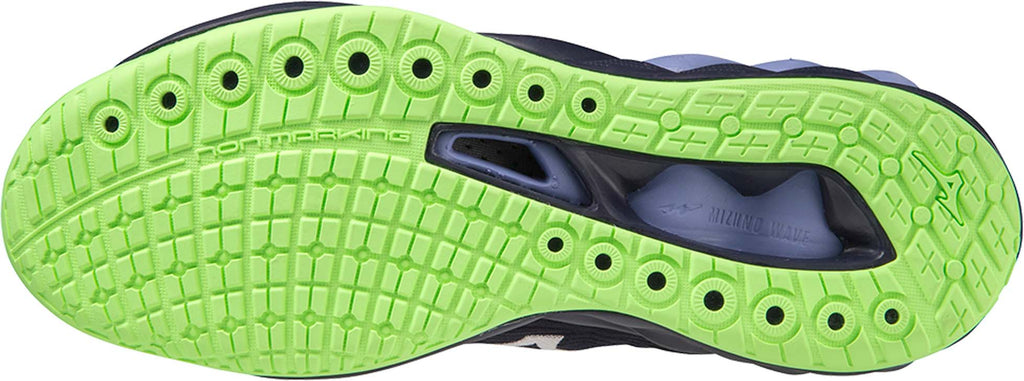 Wave Luminous 2 zaalschoenen