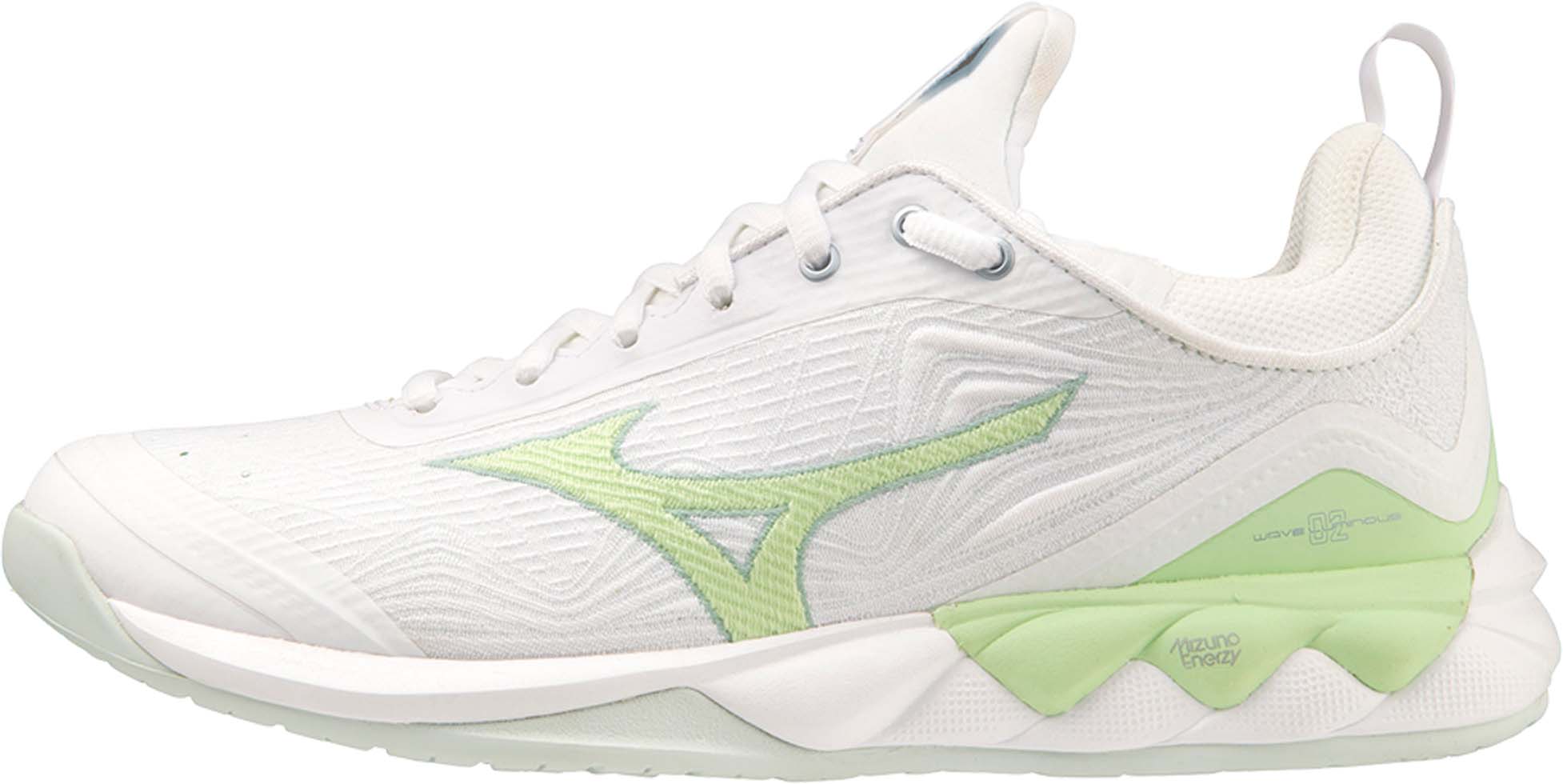 Wave Luminous 2 zaalschoenen