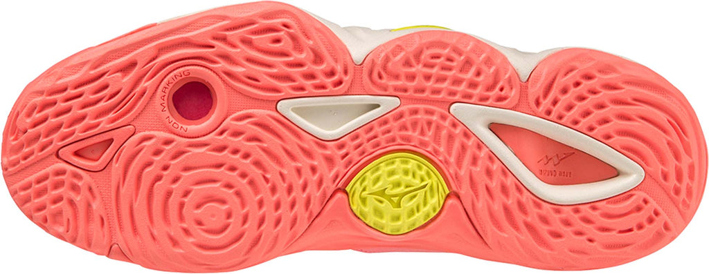 Wave Momentum 3 zaalschoenen