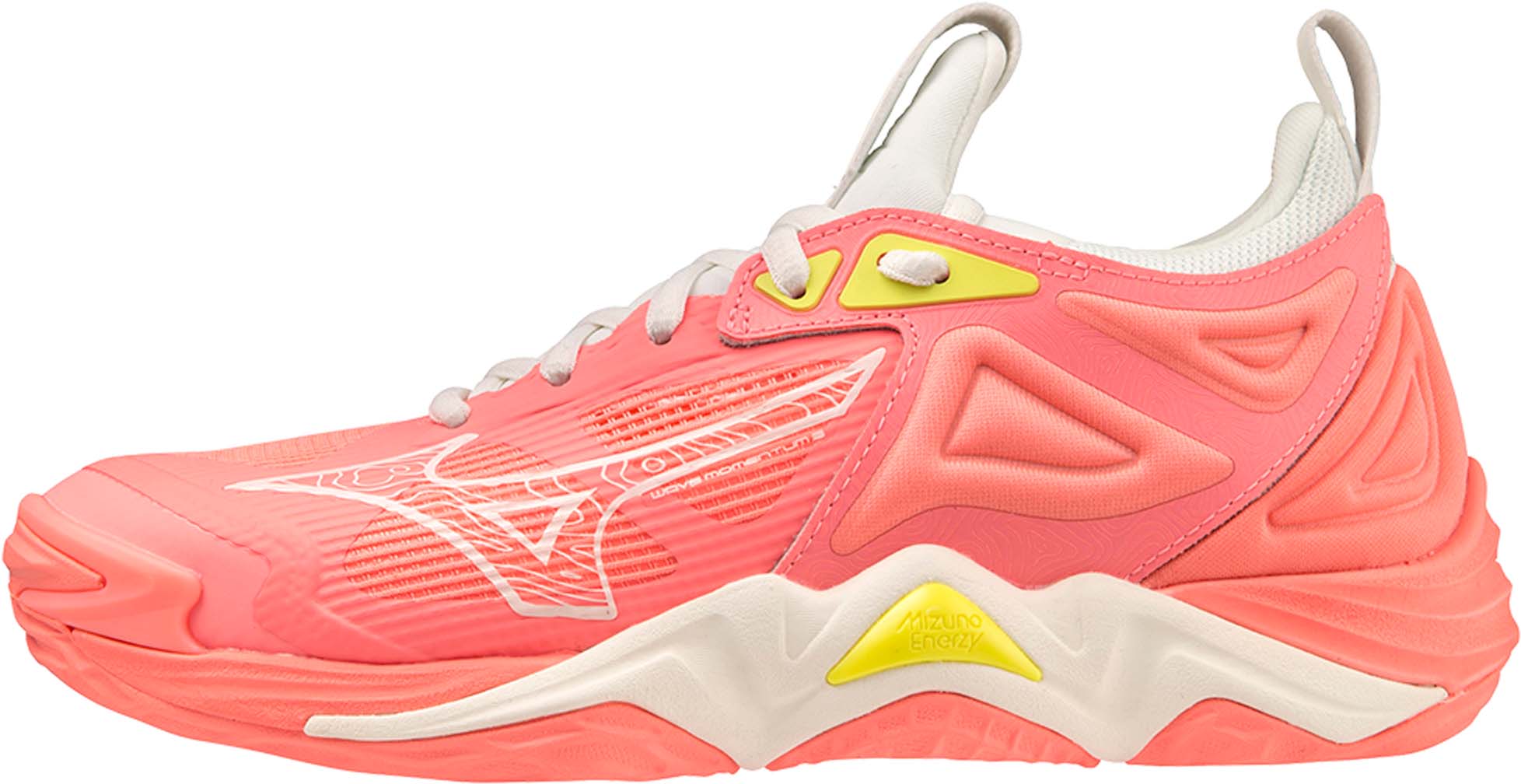 Wave Momentum 3 zaalschoenen