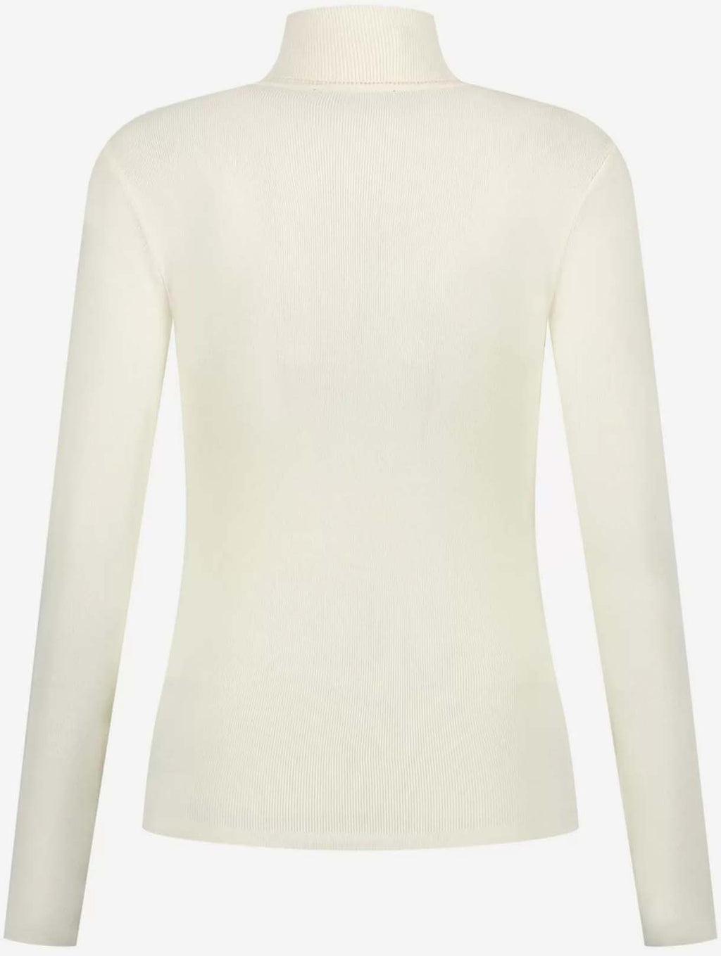 Jolie turtle neck skipully