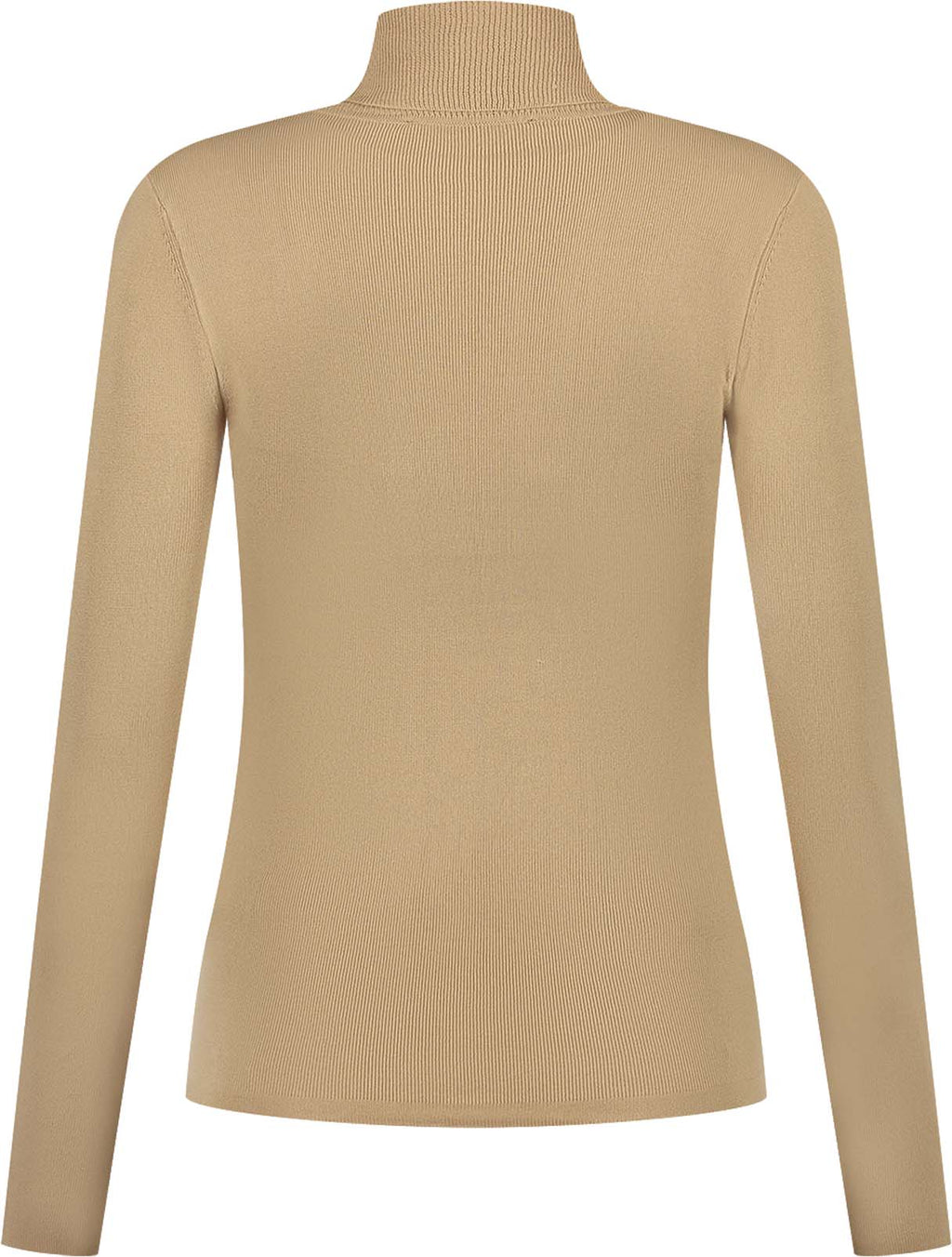 Jolie turtle neck skipully