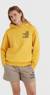 Future Surf Society hoodie