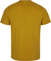 Arrowhead shirt