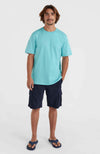 Essentials Chino short
