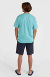 Essentials Chino short