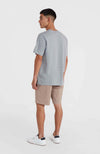 Essentials Chino short
