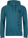 Kelp hoodie