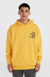 Future Surf Society hoodie