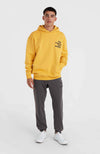 Future Surf Society hoodie