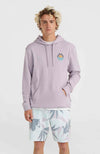 Og Sun hoodie